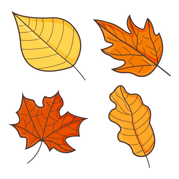 叶子概念图标。落叶的背景。秋天的象征，图标和徽章。卡通矢量图图片下载