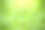 在绿色自然背景下的香菜。素材图片