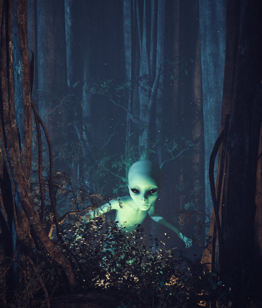 一个外星人在神秘的森林，3d插图图片下载