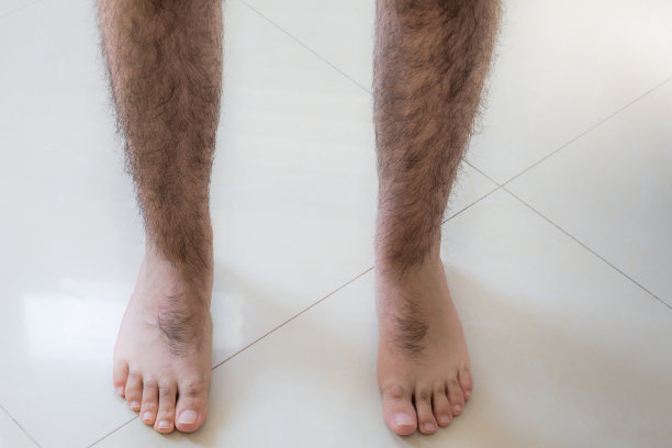 毛腿特写图片下载