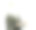 多次曝光女商人使用平板电脑图片下载