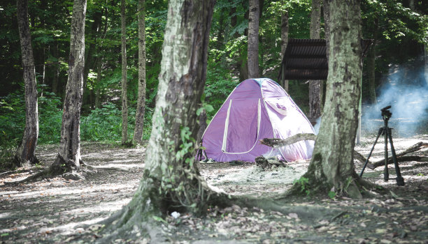 在森林里搭帐篷。图片下载