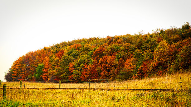 四季变换的色彩图片下载
