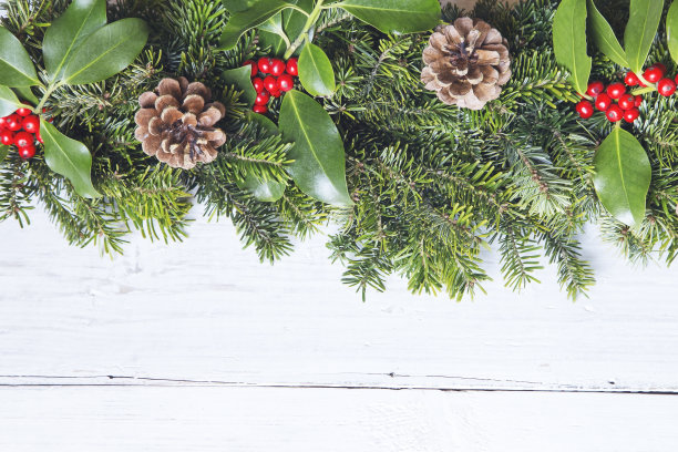 圣诞节装饰素材图片