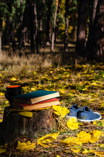 书，一杯咖啡或茶，无蕾丝牛仔运动鞋和秋天森林或公园里树桩上的黄色落叶图片下载