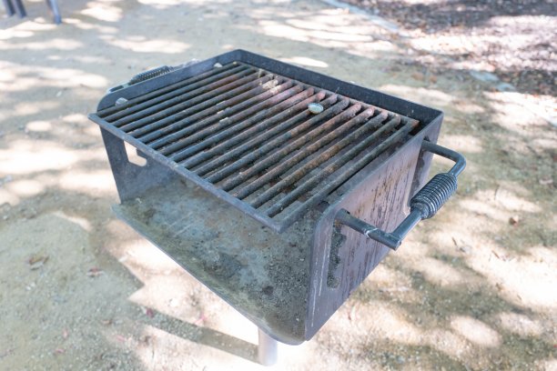 在公园烧烤图片下载