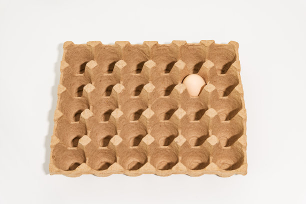 有机鸡蛋在托盘里图片下载