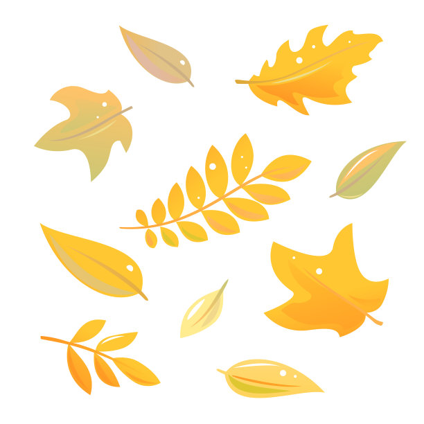 一套秋叶孤立图片下载