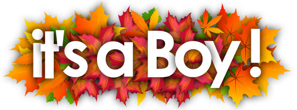 这是一个男孩图片下载