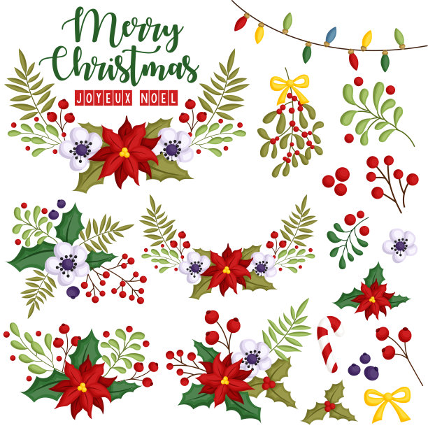 一个向量集的花组装在美丽的圣诞花环图片下载