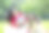快乐的家庭享受野餐在自然在夏季股票照片图片下载