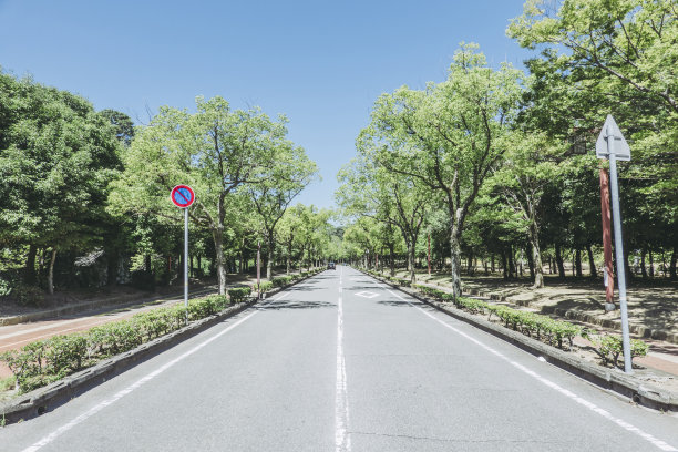 清澈的蓝天，笔直的道路和树木图片下载