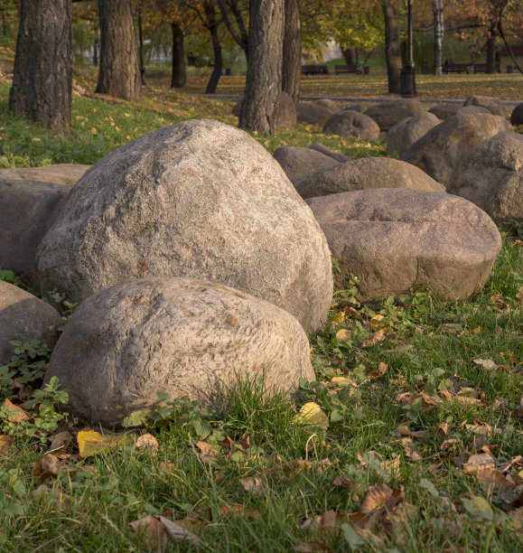 秋天，城市里到处都是落叶大石头。自然、季节性图片下载