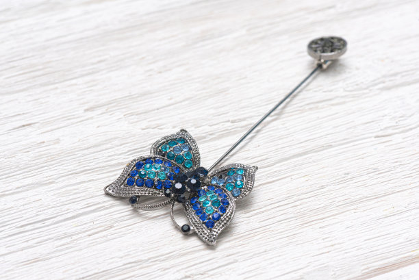 胸针。图片下载