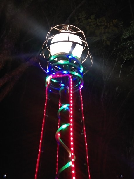 模糊的照片，抽象的花园灯光，在晚上图片下载