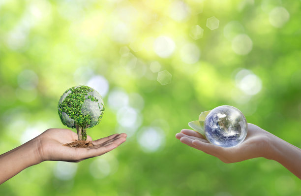 世界环境日的理念以植树绿化地球为己任。素材图片