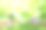 世界环境日的理念以植树绿化地球为己任。素材图片