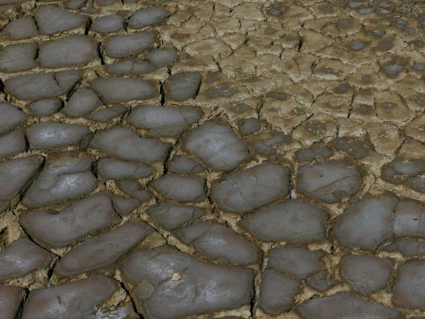 法国卡马尔格的干旱图片下载