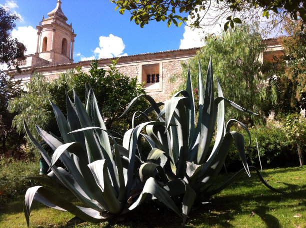 拉古萨图片下载