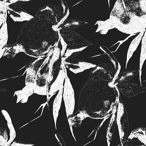 石榴分支。图片下载