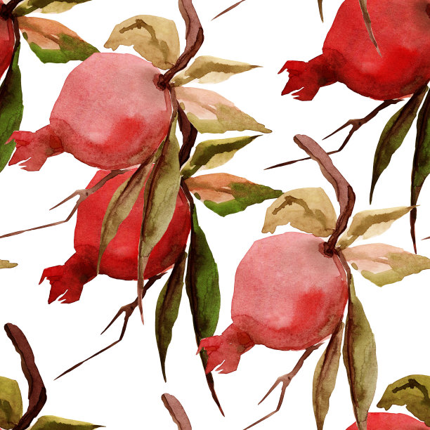 石榴分支。图片下载