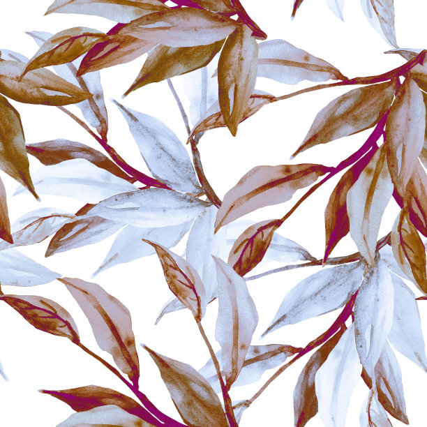 石榴分支。图片下载