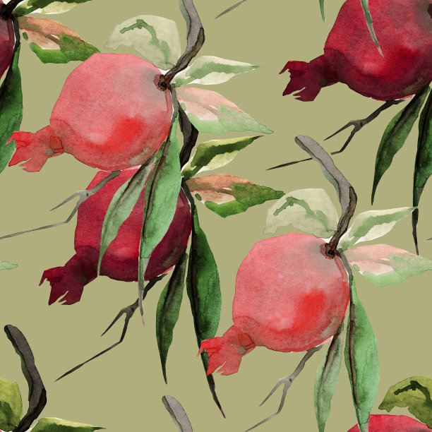 石榴分支。图片下载