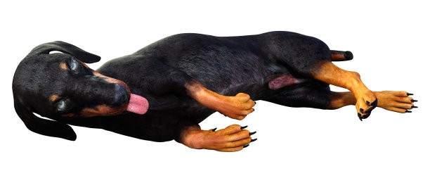 3D插图幻想龙在白色图片下载