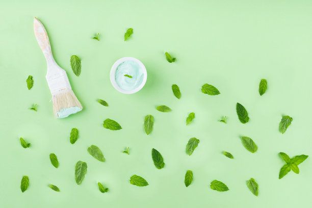 用画笔在带有图案的绿色薄荷背景上作画图片下载