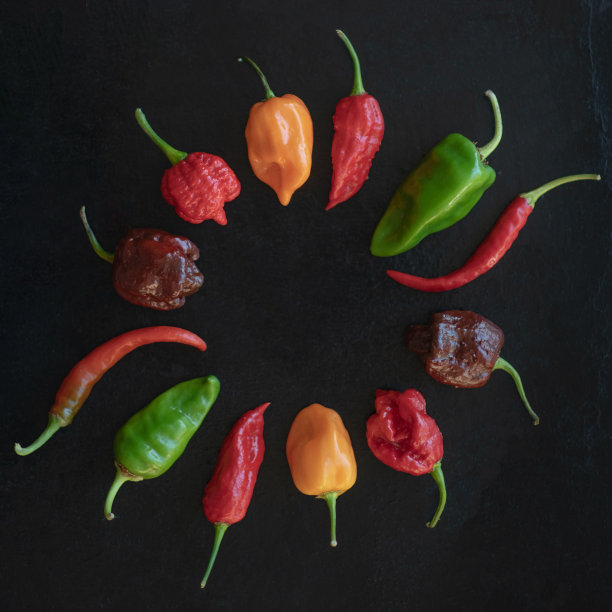 航拍辣椒圈库存照片图片下载