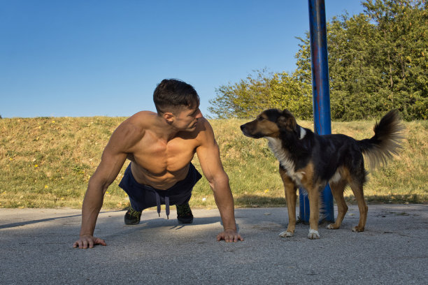 运动生活方式与狗。一个肌肉男在户外健身房里做俯卧撑。图片下载