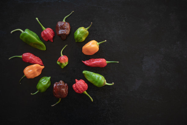 航拍辣椒圈库存照片图片下载