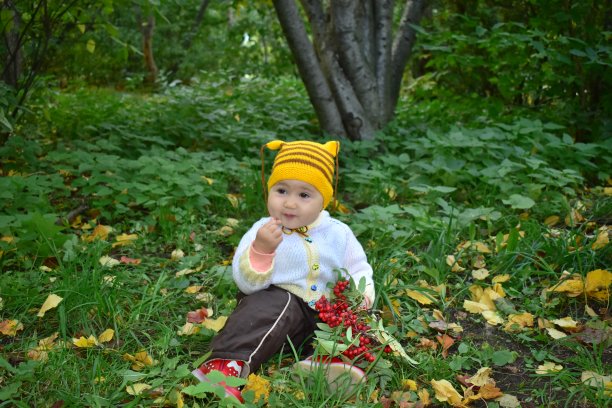 可爱的婴儿与Rowan浆果在秋天的森林。图片下载