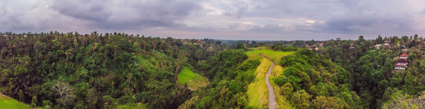 校园汉岭步道的航拍照片，风景优美的绿色山谷在乌布巴厘岛。无人机拍摄的照片图片下载