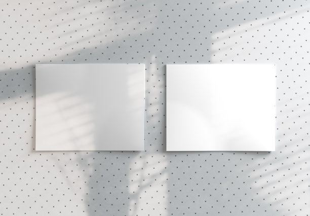 两个宝丽来模型与现代时尚的模式背景上的阴影。3 d渲染。图片下载