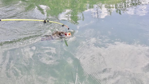 在河里钓鱼图片下载