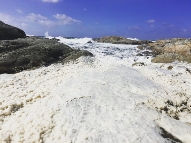 在海滩上图片下载