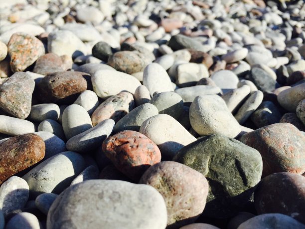 在海滩上图片下载