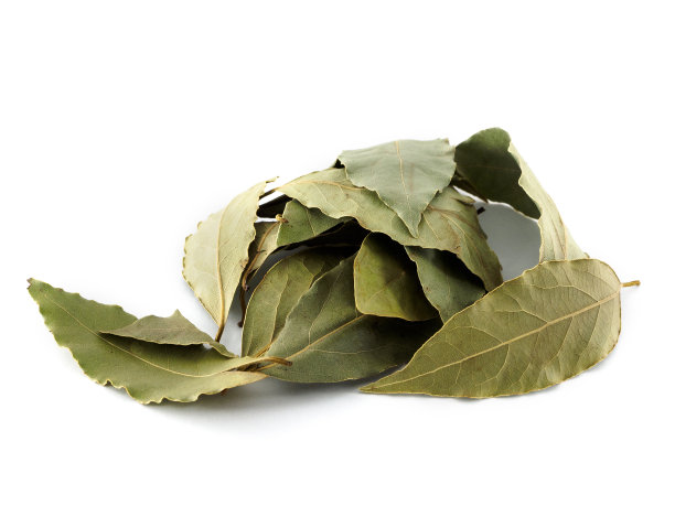 用于烹饪和医药的干月桂叶。月桂叶是一种具有有益功效的民间药物。月桂叶在白色的背景。图片下载