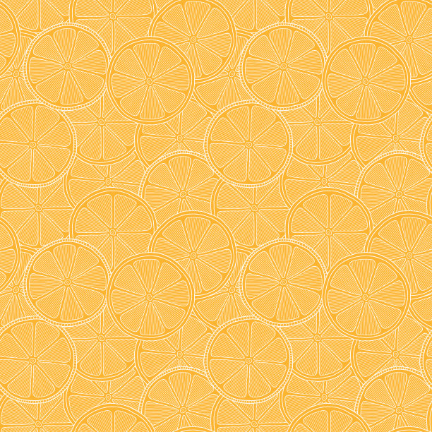 橙子切片无缝图案。手绘新鲜热带柑橘类水果。图片下载