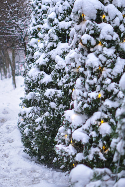 美丽的圣诞背景与花环和散景。新年彩绘。冬季城市街道的设计照片图片下载
