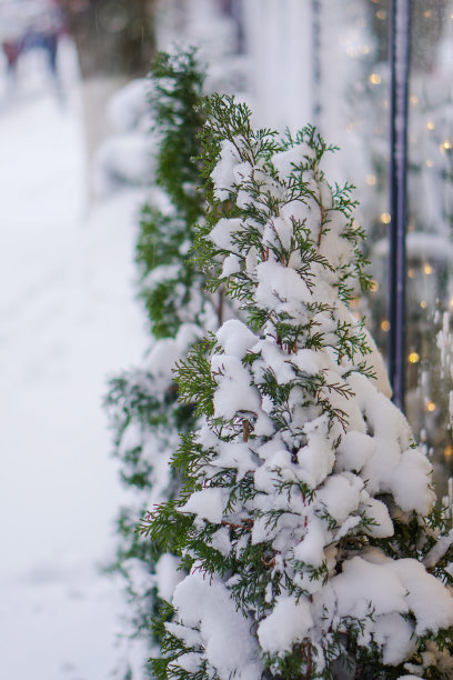 美丽的圣诞背景与花环和散景。新年彩绘。冬季城市街道的设计照片图片下载