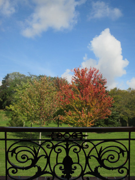 从阳台上的一扇铁栏杆可以看到花园的景色图片下载