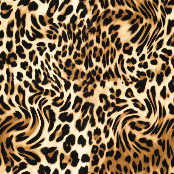 豹纹设计，插图背景图片下载