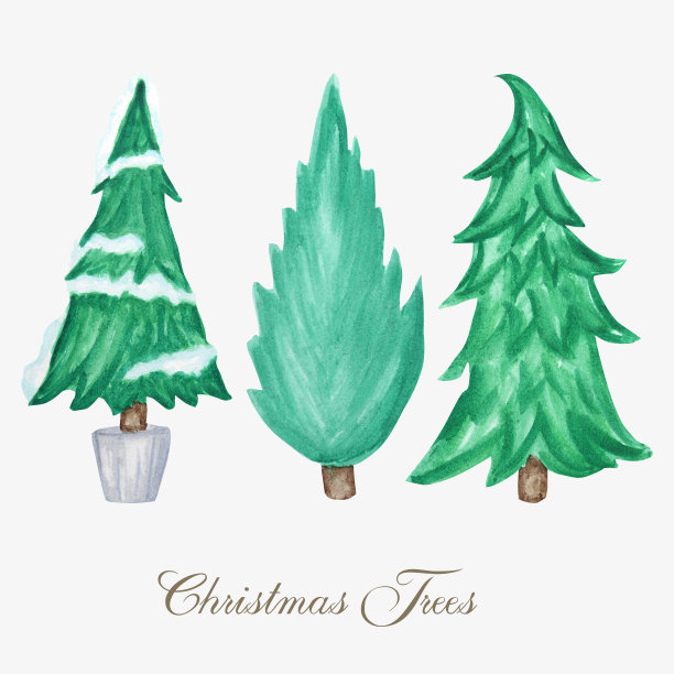 新年圣诞树设置孤立的白色背景。手绘复古卡片设计。冬天性质说明图片下载