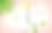 矢量现实插图与空白一瓶洗发水。夏威夷热带花鸡蛋花。化妆品广告及促销条幅。用于海报，卡片图片下载