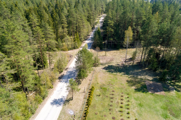 日落森林上面有一条孤独的土路。图片下载