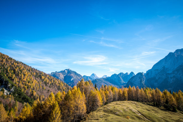 美丽的秋天山景意大利朱利安阿尔卑斯山，塞拉索多尼亚高原图片下载