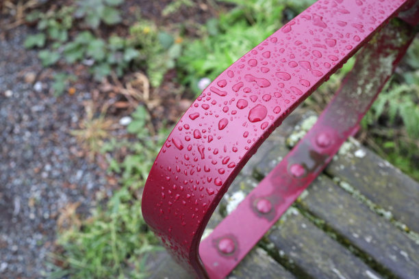 选择性地关注公园长椅上的雨滴图片下载