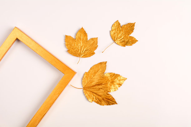 秋天的成分。金色的叶子，橡子和相框在一个轻的背景。前视图。本空间图片下载